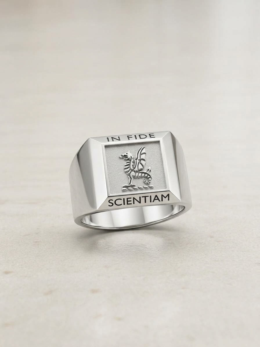  school jewellery by Robbie Chapman
